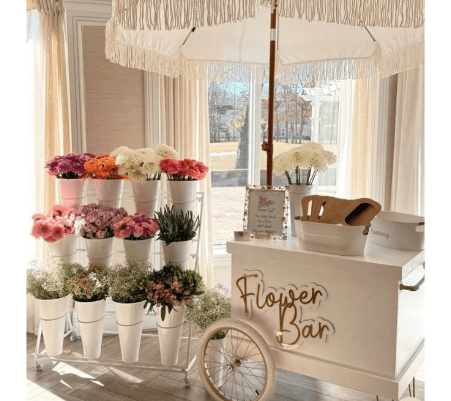 animation mariage-organisation mariage-dj-mulhouse-colmar-strasbourg-weddingplanner
